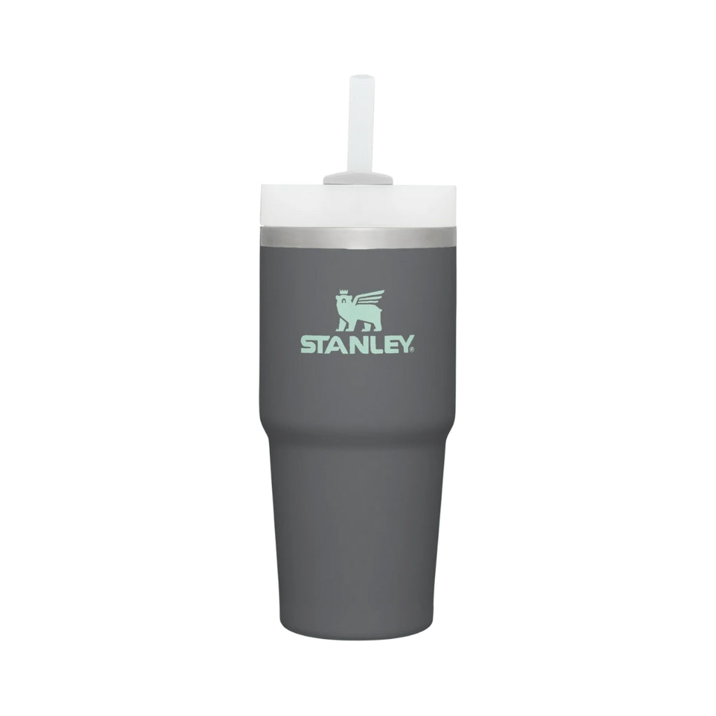 STANLEY Adventure Quencher 2.0 Tumbler - 20oz