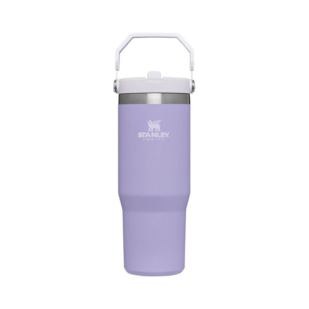 STANLEY IceFlow Flip Straw Tumbler - 30oz