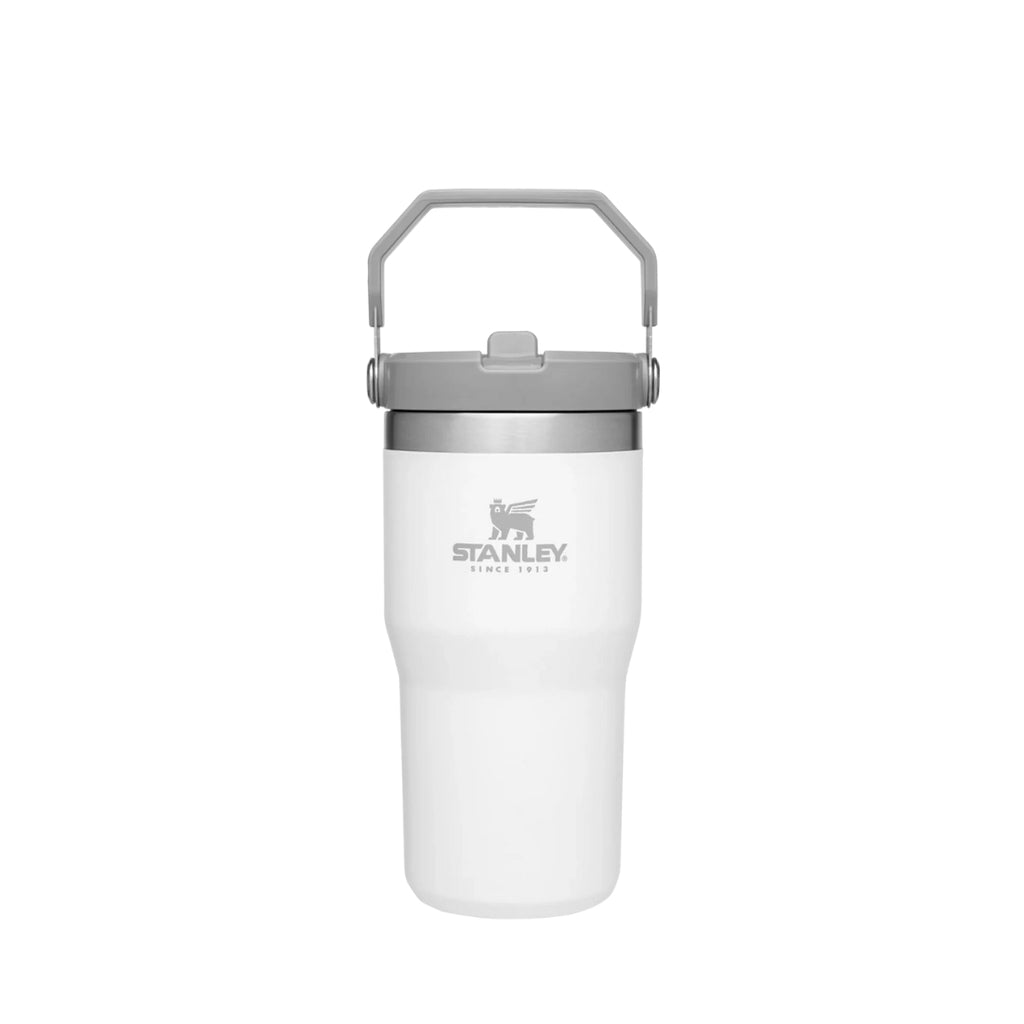 STANLEY IceFlow Flip Straw Tumbler - 20oz